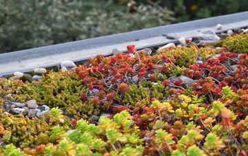 the cost of Fiddleford green roof installation