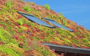 Fiddleford living roof systems
