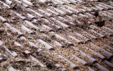 Fiddleford roof cleaning companies