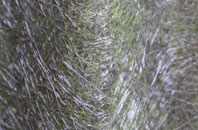 Fiddleford fibreglass roof work